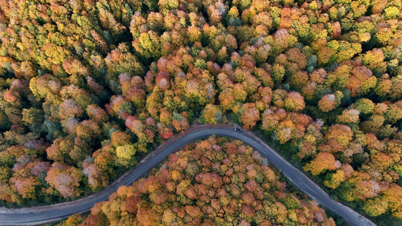 Istrancalar görenleri büyüledi - Resim: 2