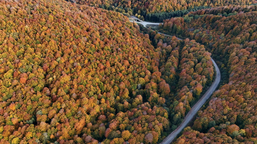 Istrancalar görenleri büyüledi - Resim: 3