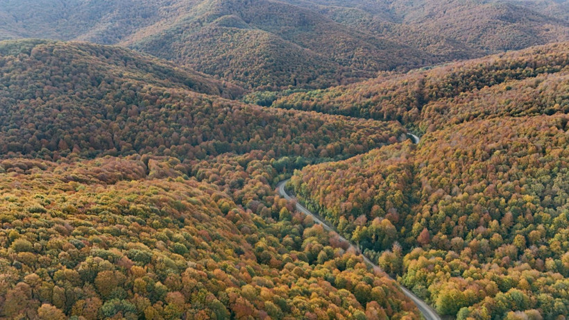 Istrancalar görenleri büyüledi - Resim: 4