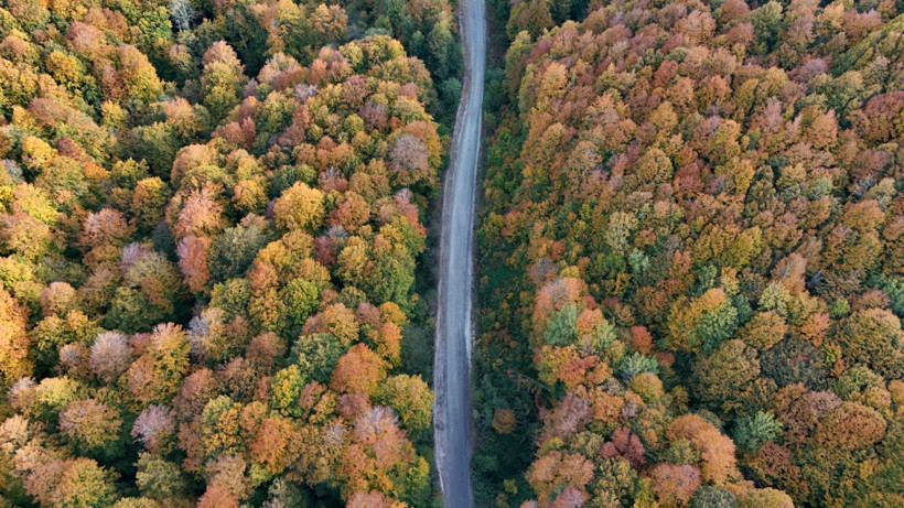 Istrancalar görenleri büyüledi - Resim: 5
