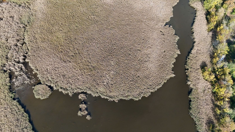 Istrancalar görenleri büyüledi - Resim: 8