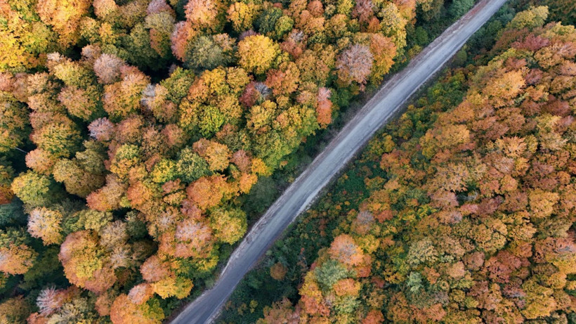 Istrancalar görenleri büyüledi - Resim: 11
