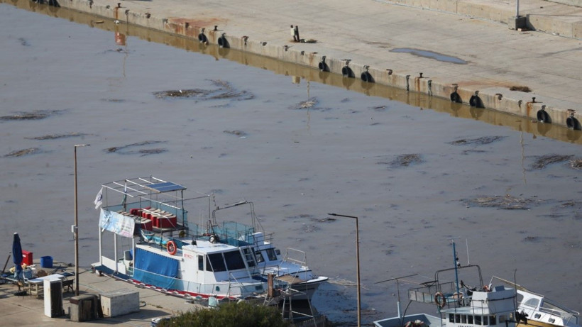 Gökçeada'da denizin rengi değişti - Resim: 4