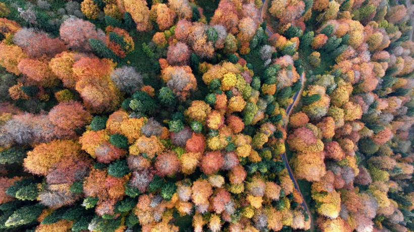 Tuval gibi: Düzce'den büyüleyen kareler - Resim: 14