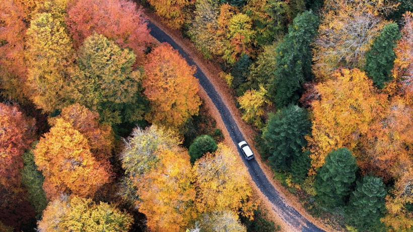 Tuval gibi: Düzce'den büyüleyen kareler - Resim: 15