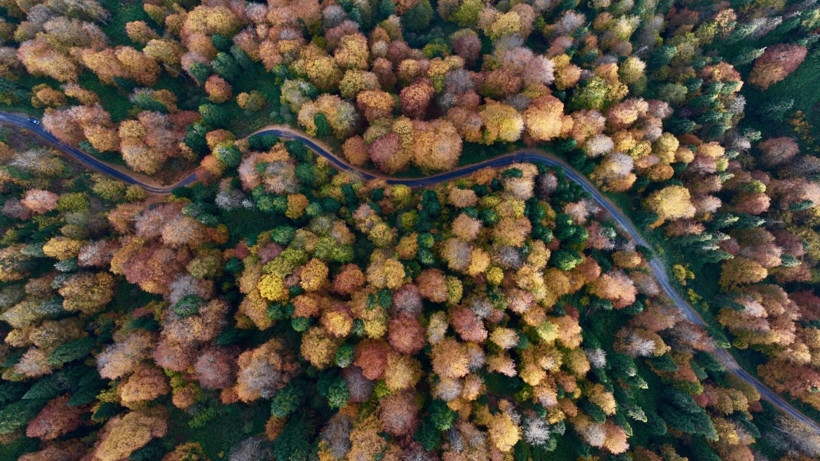 Tuval gibi: Düzce'den büyüleyen kareler - Resim: 16