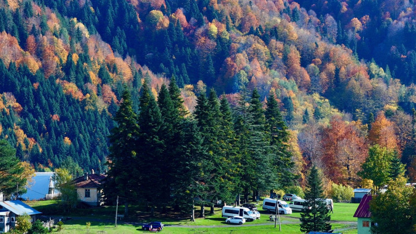 Tuval gibi: Düzce'den büyüleyen kareler - Resim: 17