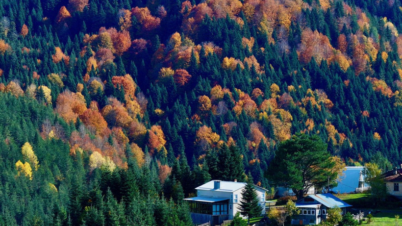 Tuval gibi: Düzce'den büyüleyen kareler - Resim: 18