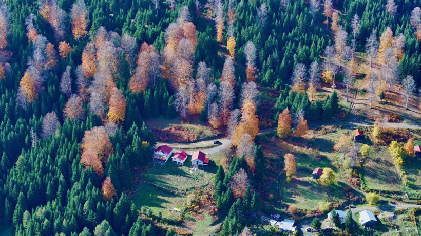 Tuval gibi: Düzce'den büyüleyen kareler - Resim: 19