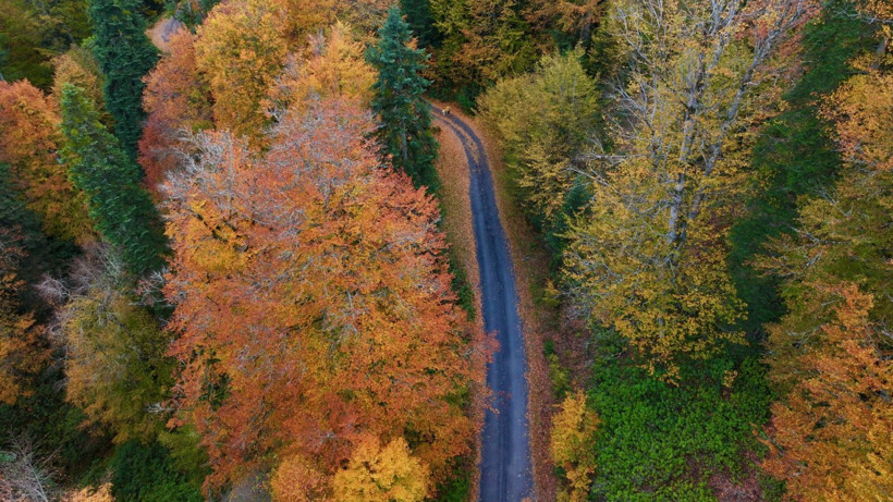 Tuval gibi: Düzce'den büyüleyen kareler - Resim: 20