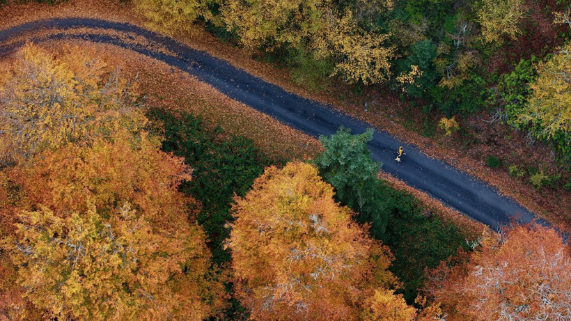 Tuval gibi: Düzce'den büyüleyen kareler - Resim: 21