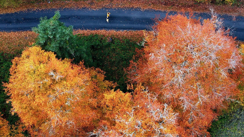 Tuval gibi: Düzce'den büyüleyen kareler - Resim: 22