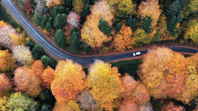 Tuval gibi: Düzce'den büyüleyen kareler - Resim: 23