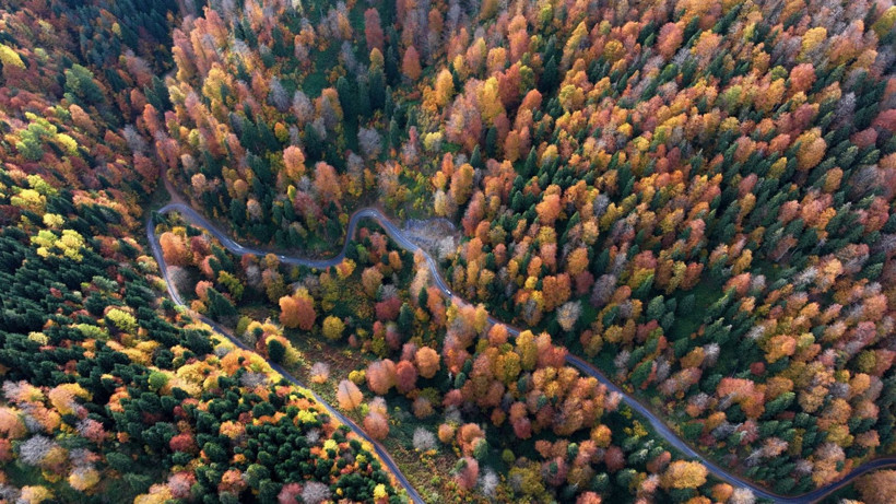 Tuval gibi: Düzce'den büyüleyen kareler - Resim: 24