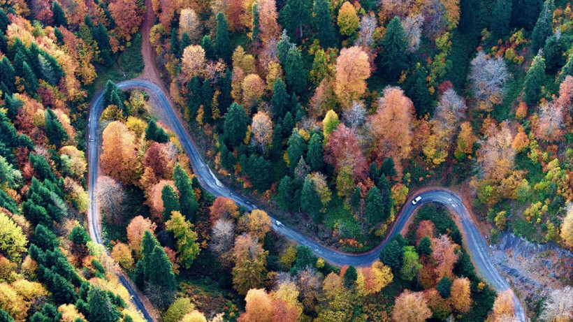 Tuval gibi: Düzce'den büyüleyen kareler - Resim: 25