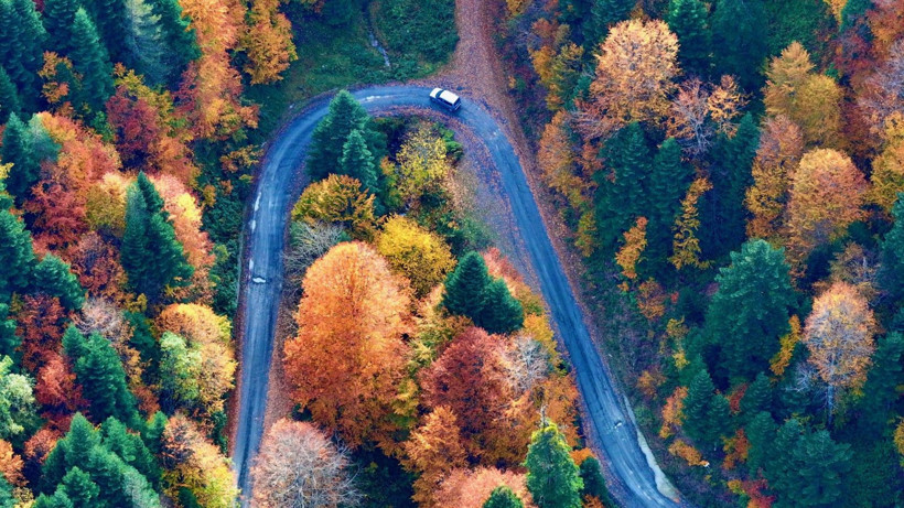 Tuval gibi: Düzce'den büyüleyen kareler - Resim: 26