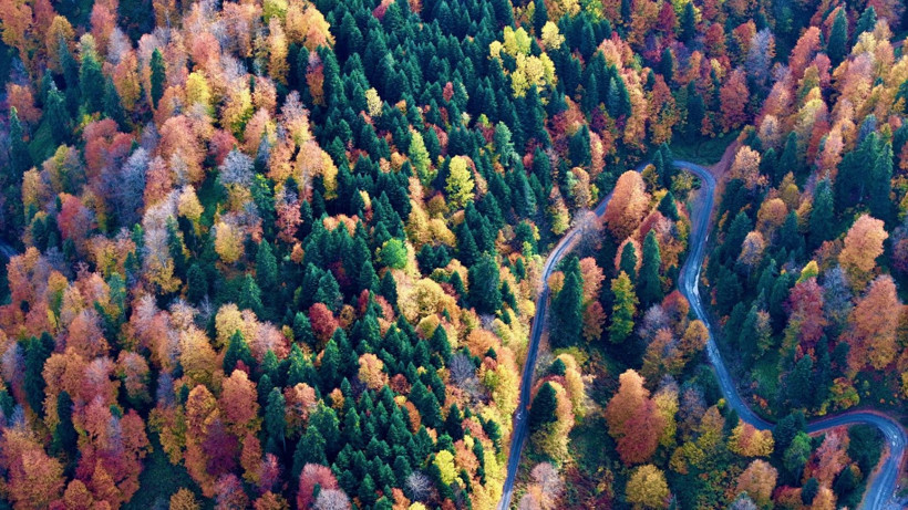 Tuval gibi: Düzce'den büyüleyen kareler - Resim: 27