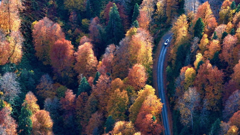 Tuval gibi: Düzce'den büyüleyen kareler - Resim: 29