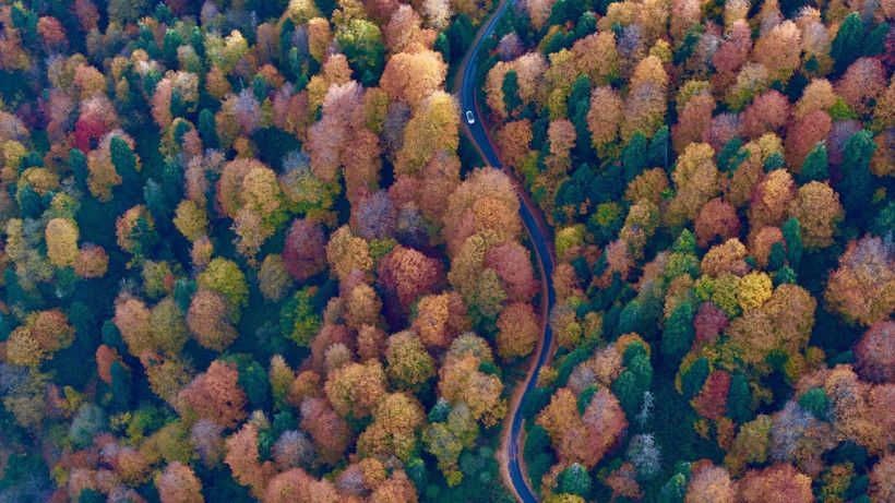 Tuval gibi: Düzce'den büyüleyen kareler - Resim: 30