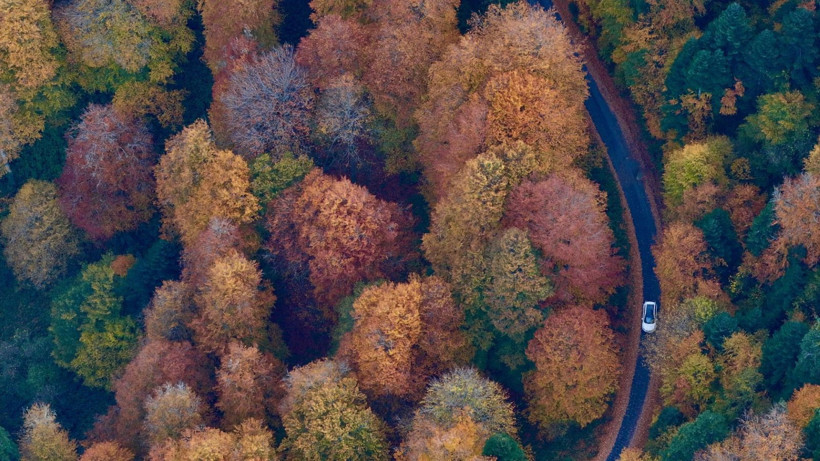 Tuval gibi: Düzce'den büyüleyen kareler - Resim: 31