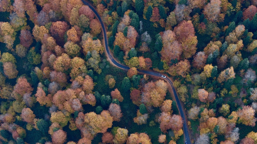 Tuval gibi: Düzce'den büyüleyen kareler - Resim: 32