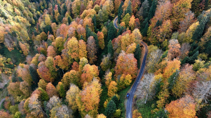Tuval gibi: Düzce'den büyüleyen kareler - Resim: 33