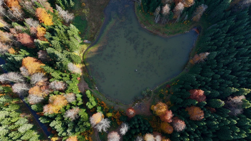 Tuval gibi: Düzce'den büyüleyen kareler - Resim: 34