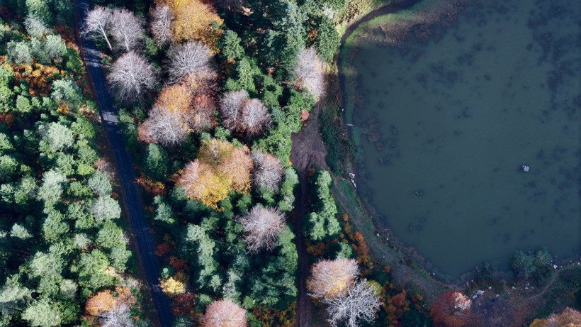Tuval gibi: Düzce'den büyüleyen kareler - Resim: 35
