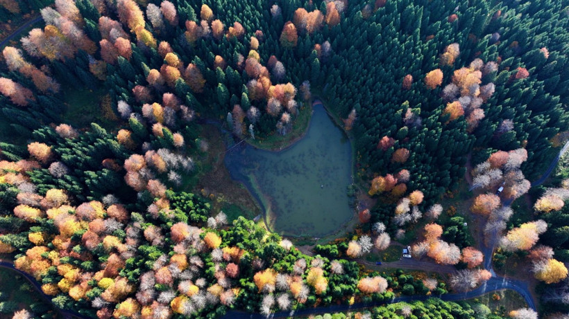 Tuval gibi: Düzce'den büyüleyen kareler - Resim: 36