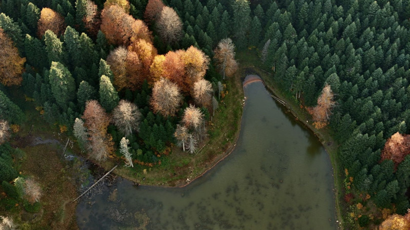 Tuval gibi: Düzce'den büyüleyen kareler - Resim: 37
