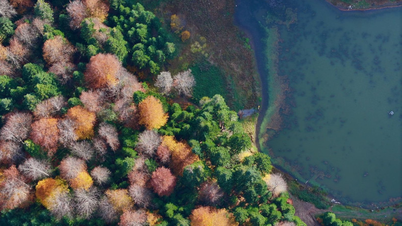 Tuval gibi: Düzce'den büyüleyen kareler - Resim: 38