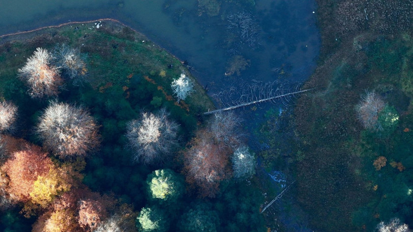 Tuval gibi: Düzce'den büyüleyen kareler - Resim: 39