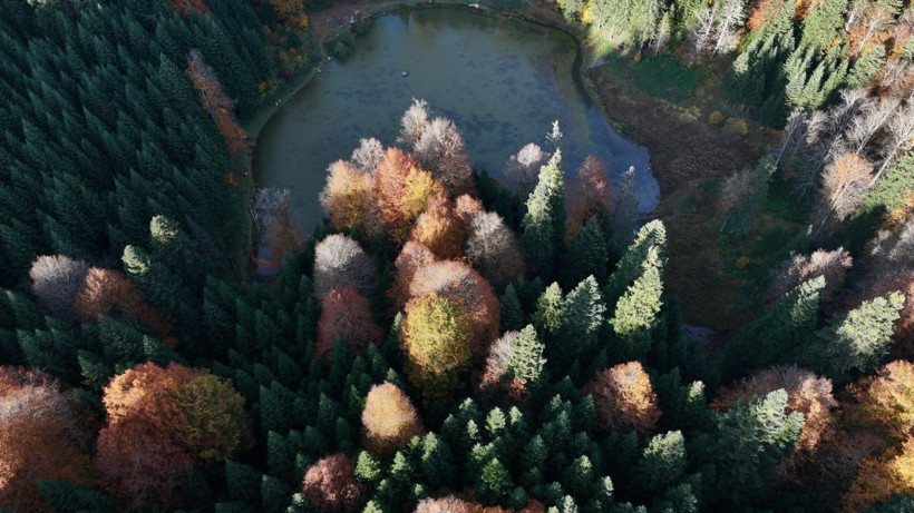 Tuval gibi: Düzce'den büyüleyen kareler - Resim: 40