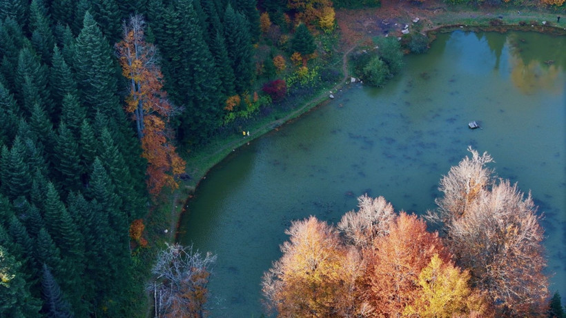 Tuval gibi: Düzce'den büyüleyen kareler - Resim: 41