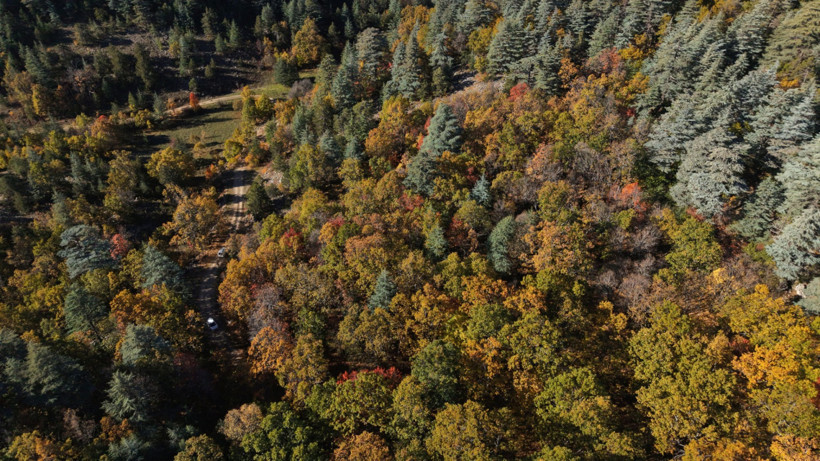 Dünya'da tek: Isparta'nın bu ormanına girmenin cezası 557 bin lira - Resim : 2