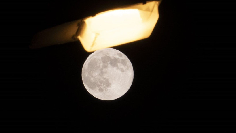 Kunduz Ayı nefes kesti - Resim: 3