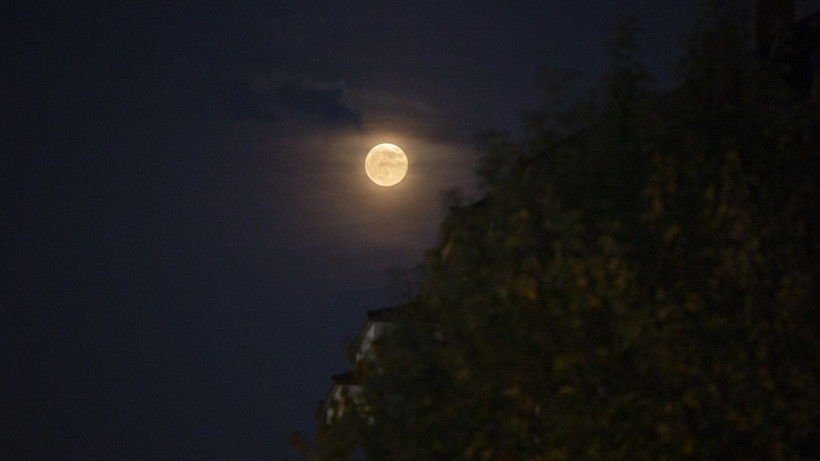 Kunduz Ayı nefes kesti - Resim: 7