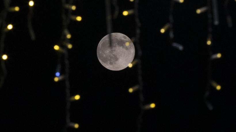 Kunduz Ayı nefes kesti - Resim: 8