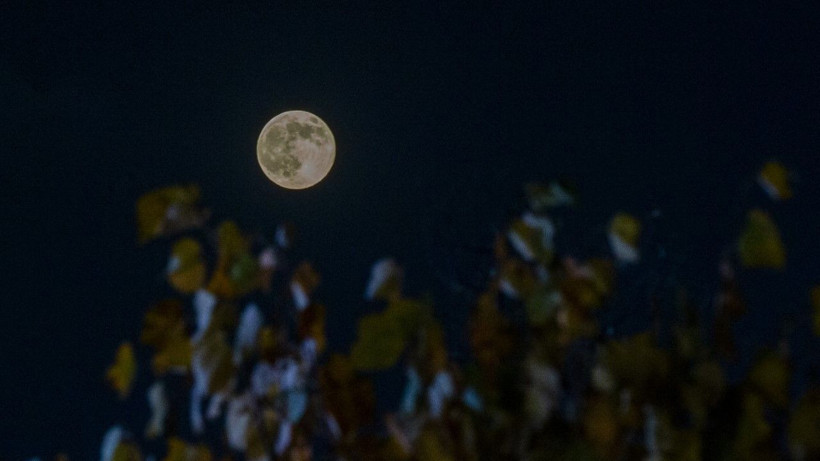 Kunduz Ayı nefes kesti - Resim: 12