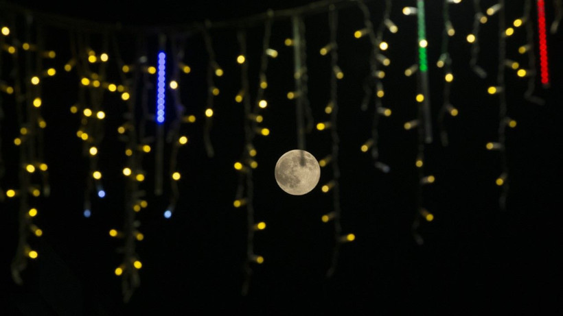 Kunduz Ayı nefes kesti - Resim: 13