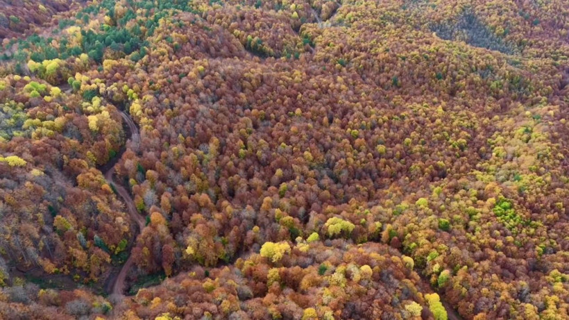 Mengen tuval gibi: Kırmızıya döndü - Resim: 5