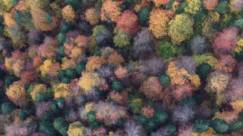 Mengen tuval gibi: Kırmızıya döndü - Resim: 4