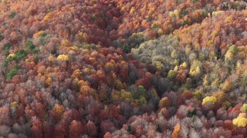 Mengen tuval gibi: Kırmızıya döndü - Resim: 3
