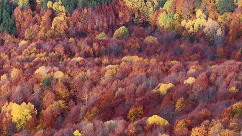 Mengen tuval gibi: Kırmızıya döndü - Resim: 2