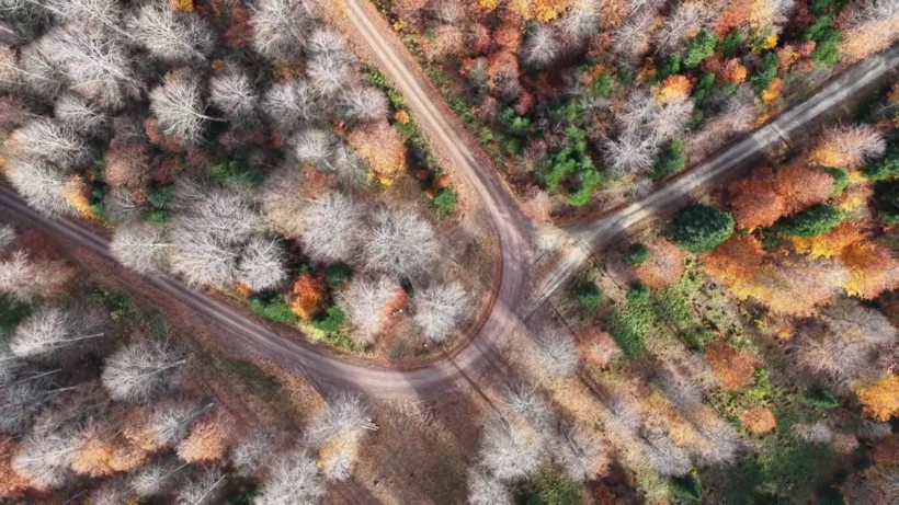 Mengen tuval gibi: Kırmızıya döndü - Resim: 1
