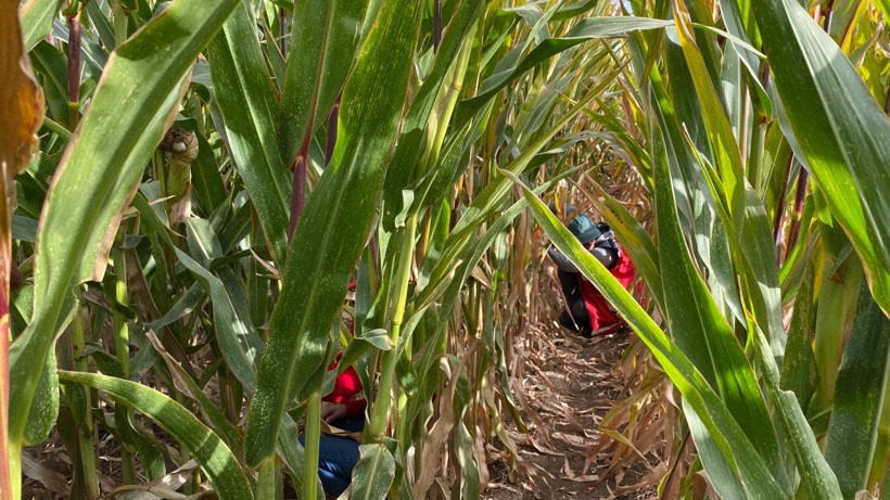 Elazığ’da kayıp Veysel’den hâlâ haber yok - Resim : 2