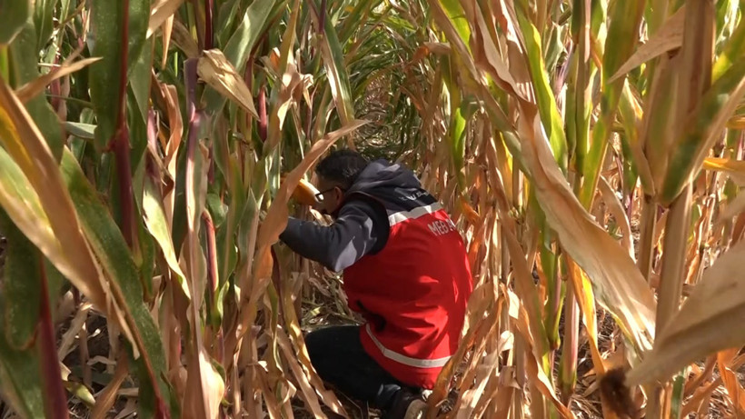 Elazığ’da kayıp Veysel’den hâlâ haber yok - Resim : 1