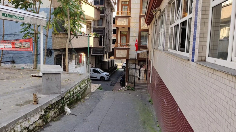 İstanbul’da ‘yan bakma’ cinayeti: Dede öldü, torun yaralandı - Resim : 1