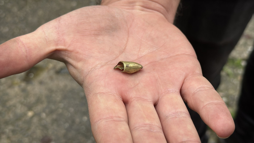 Zonguldak’ta kaybolan kedi mermiyle yaralanmış bulundu - Resim : 1