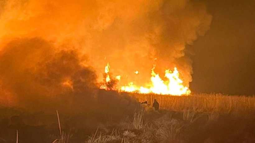 Kuş cennetinde yangın - Resim: 1